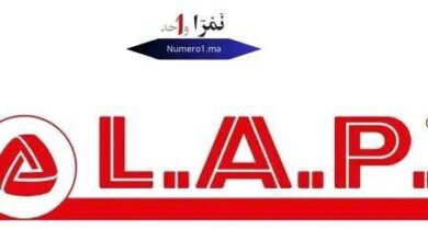 L.A.P الشركة الرائدة في صنع المواد الكهربائية في المغرب